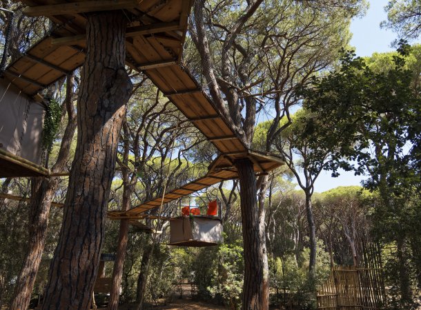 Un percorso sospeso tra gli alberi, con una piattaforma e una tenda. Immerso in una fitta pineta.