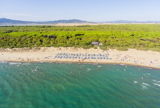 Una spiaggia affollata con ombrelloni, vicino a una foresta verde e colline in lontananza.
