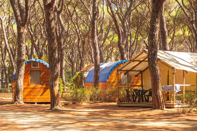 Piccole cabine in legno e una tenda, immerse in una pineta.