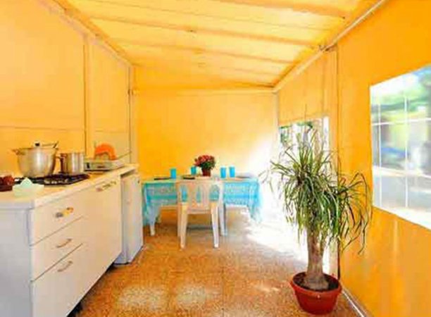 Cucina gialla con tavolo apparecchiato e pianta.