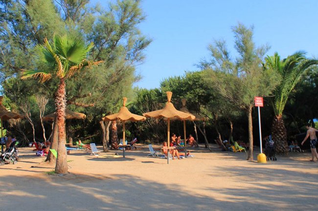 Spiaggia con ombrelloni di paglia e palme.