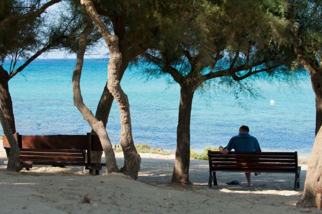Uomo seduto su una panchina in spiaggia, alberi sullo sfondo e mare azzurro.