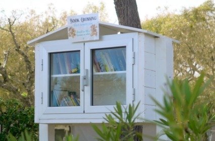 Piccola libreria bianca all'aperto su un albero.