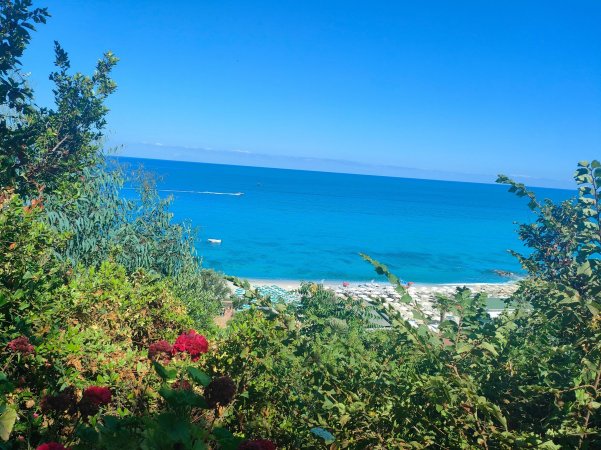 Vista mare circondata da vegetazione.