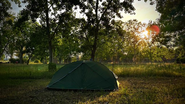 Tenda verde in un campo erboso, alberi intorno al tramonto.