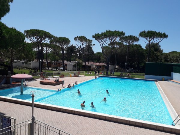 Piscina con nuotatori circondata da pini e spazi verdi, cielo sereno.
