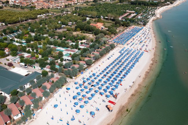 Spiaggia con ombrelloni blu e bianchi allineati, case e vegetazione sullo sfondo.