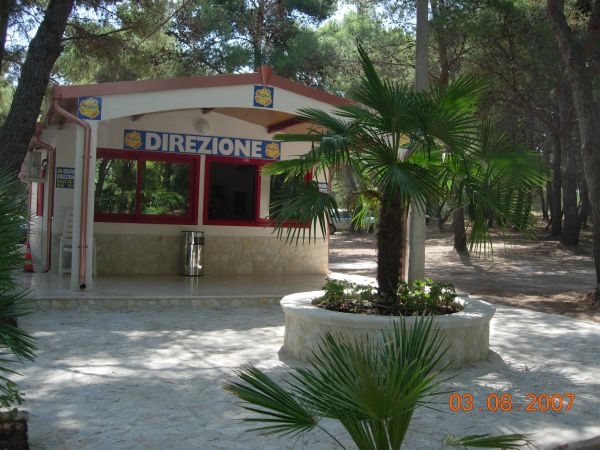 Struttura tra gli alberi con cartelli 