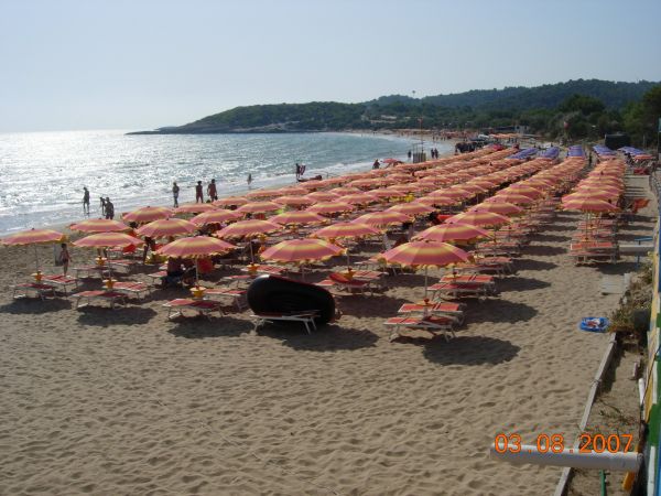 Spiaggia con file di ombrelloni arancioni vicino al mare.