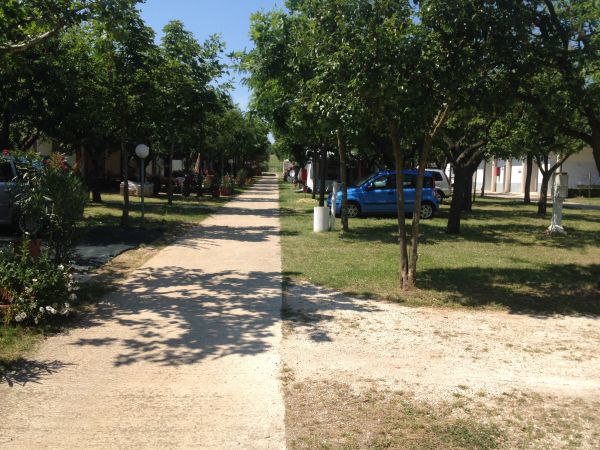 Sentiero alberato con auto parcheggiata sul prato.