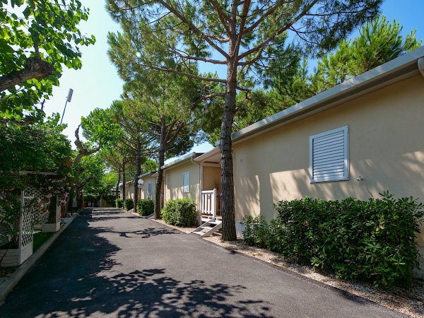 Vialetto alberato con villette beige e verde circostante.