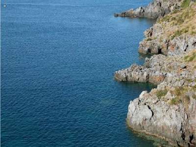 Mare blu e coste rocciose con vegetazione che cresce tra le rocce.