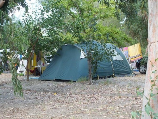 Tenda verde in un campeggio alberato.