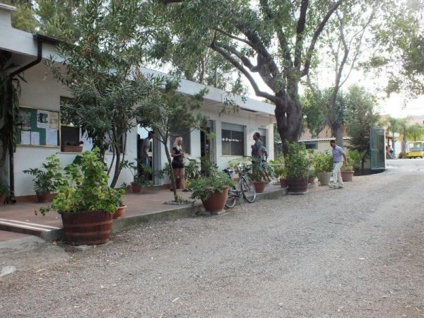 Edificio basso con piante in grandi vasi.