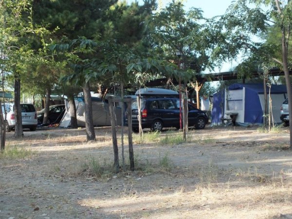 Tende e auto vicine a piccoli alberi.