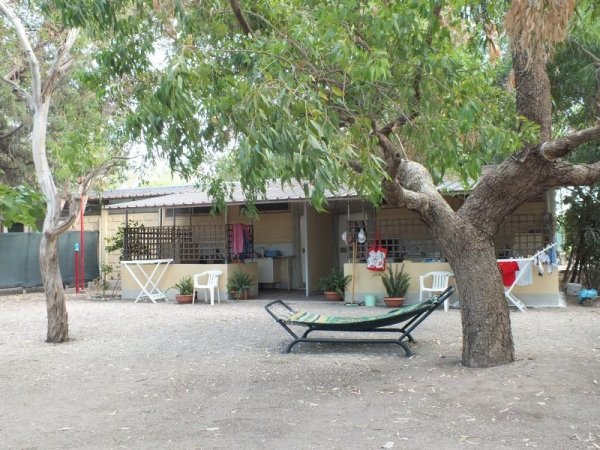 Amaca sotto un albero vicino a un edificio.