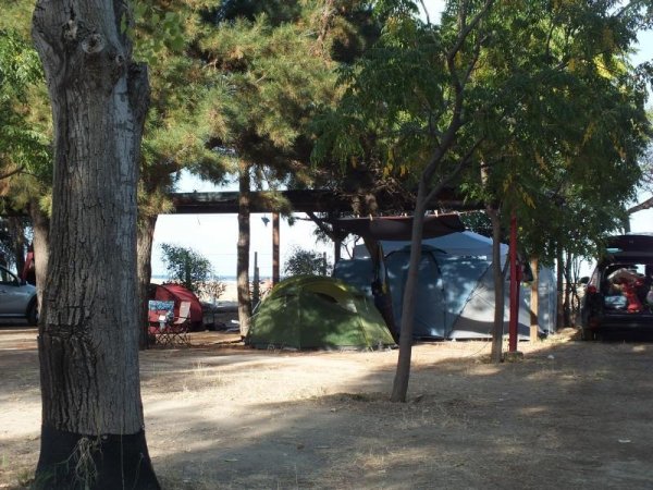 Area campeggio con tende e alberi.