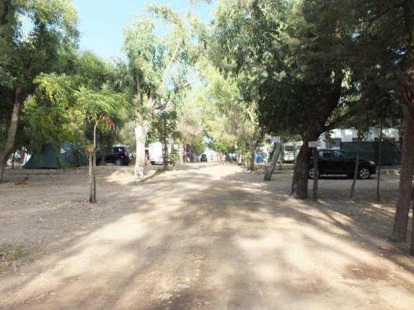 Strada sterrata in un campeggio con alberi su entrambi i lati.