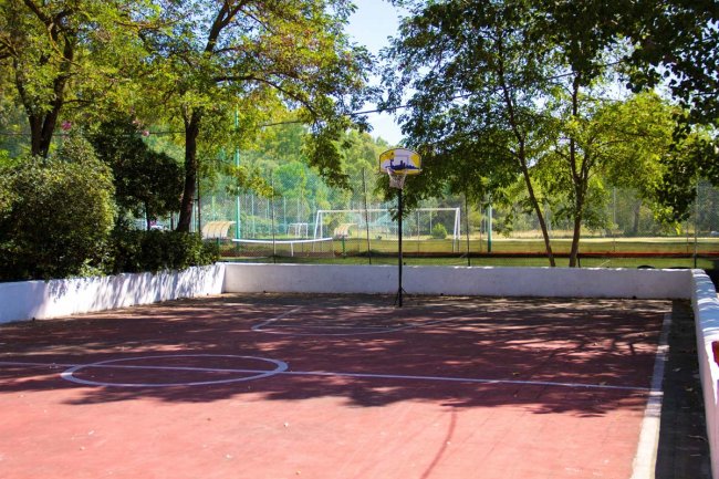 Campo da basket all'aperto ombreggiato da alberi, con un canestro e un campo da calcio sullo sfondo.