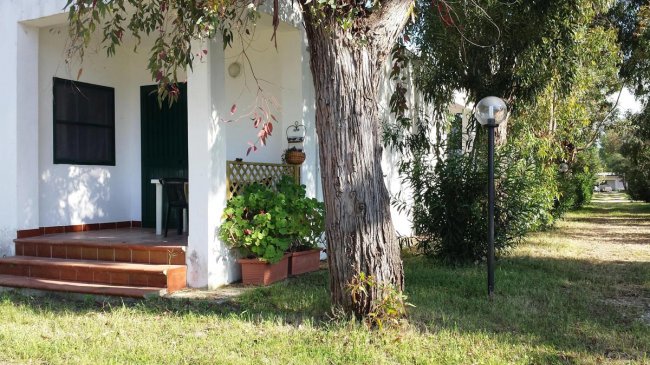 Una veranda con gradini in ceramica rossa, pianta in vaso e albero, accanto a un lampione nero.