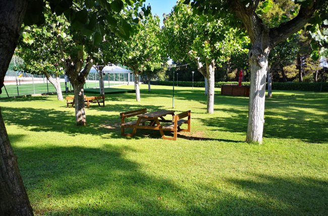 Tavolo da picnic sotto alberi in un parco verde.