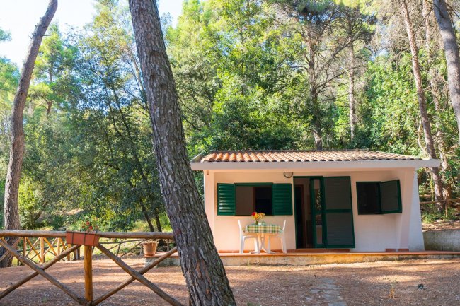 Una piccola casa bianca circondata da alberi, con tavolo e sedie nel patio.