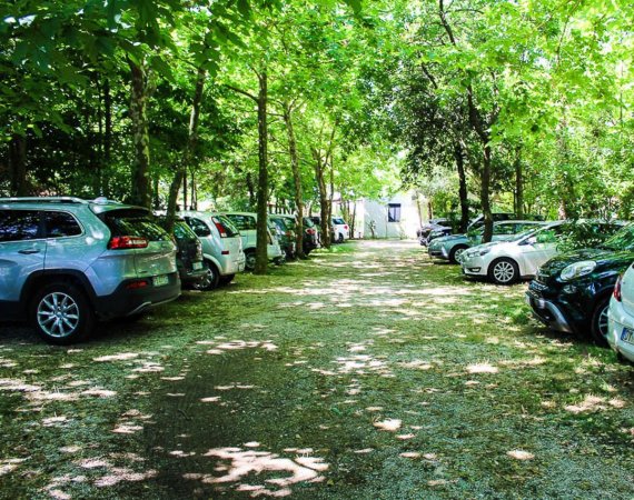 Viale alberato con auto parcheggiate ai lati.