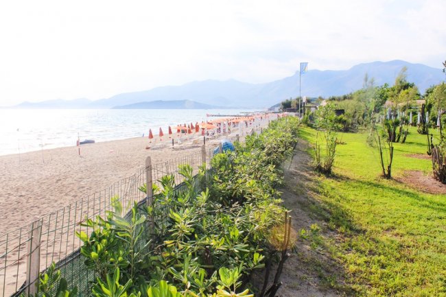 Spiaggia con ombrelloni arancioni e vegetazione verde lungo la riva.