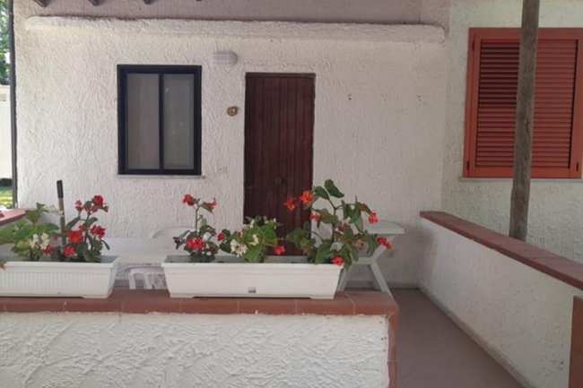 Un patio con muri bianchi, fioriere con fiori rossi e una porta di legno marrone.