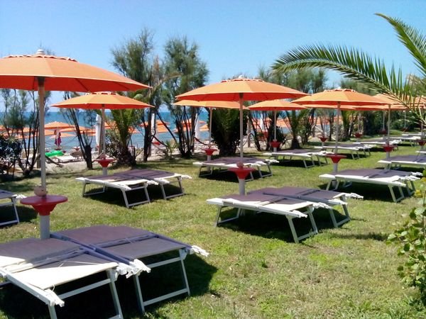 Lettini e ombrelloni arancioni su un prato vicino alla spiaggia.