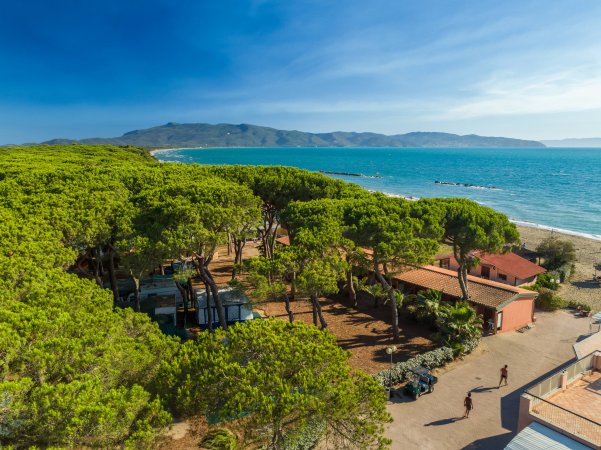 Vista aerea di un campeggio con alberi vicino al mare.