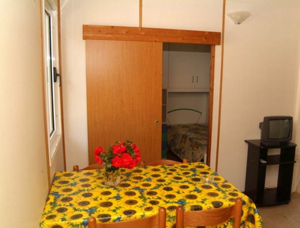Tavolo con tovaglia a girasoli, fiori rossi, porta scorrevole e TV.