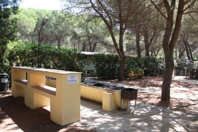 Area barbecue in un bosco con tavoli in cemento e griglia.
