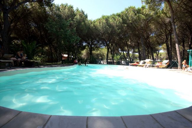 Piscina circondata da vegetazione e sedie a sdraio, vista da livello acqua.