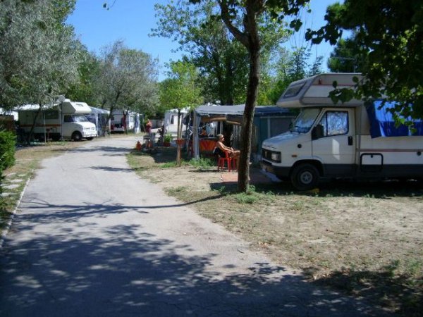 Camper parcheggiati lungo una strada sterrata con alberi intorno.