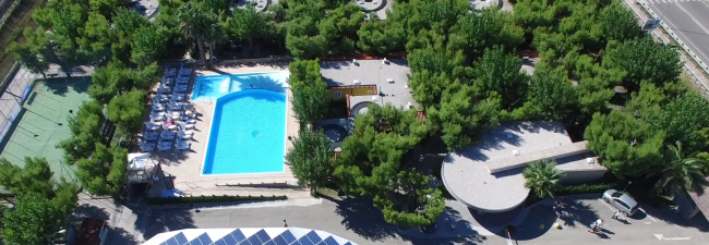 Vista aerea di una piscina circondata da alberi.