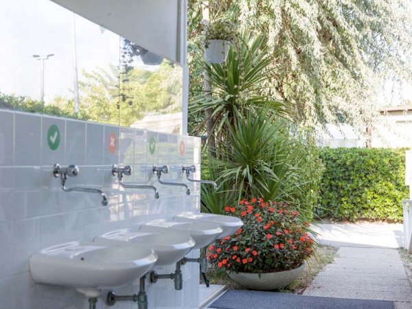 Lavandini all'aperto in una zona con piante e fiori rossi.