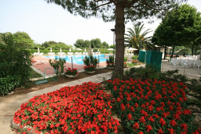 Un giardino fiorito con fiori rossi vicino a una piscina.