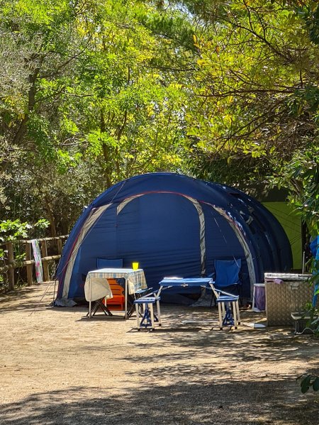 Tenda blu con tavolo e sedie all'aperto, circondata da alberi verdi.