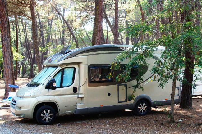 Camper parcheggiato tra gli alberi in un'area boschiva.