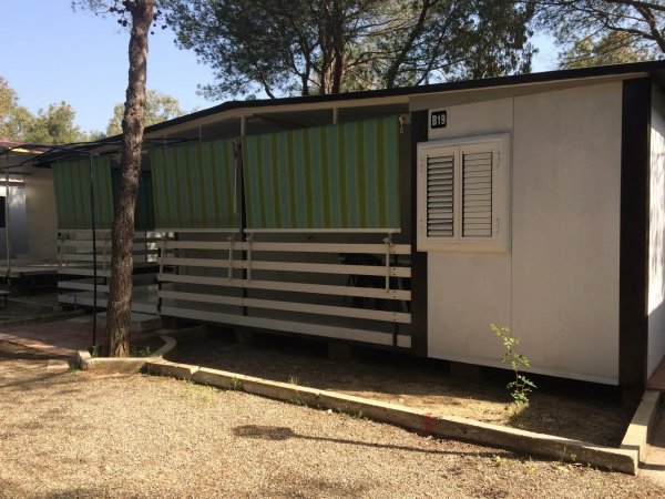 Una casetta bianca con tetto piatto, persiane e tende verdi, situata tra alberi.