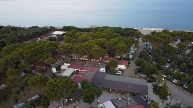 Vista aerea di un campeggio con alberi e bungalow vicino al mare.