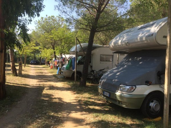 Area campeggio con camper parcheggiati lungo un sentiero alberato.
