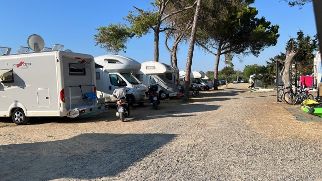 Roulotte in fila lungo un vialetto ghiaioso in un campeggio soleggiato.