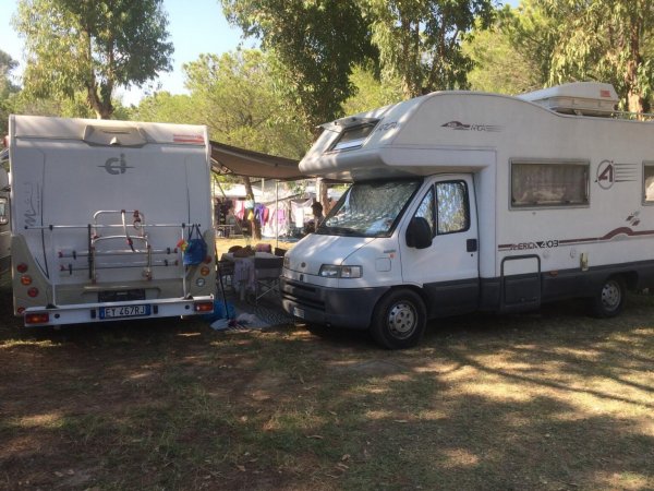 Due camper parcheggiati sotto gli alberi, con una veranda aperta e sedie all'esterno.