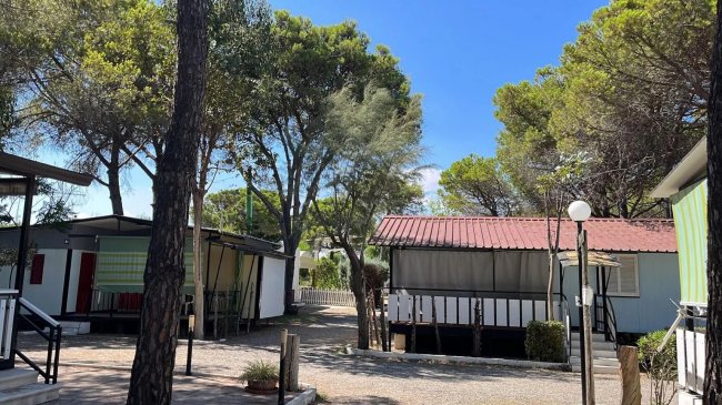Bungalow in un campeggio, circondati da alberi e con vialetti di ghiaia.