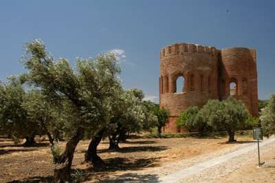 Antica torre in mattoni tra ulivi su un terreno arido sotto un cielo azzurro.