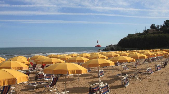 File ordinate di ombrelloni gialli su una spiaggia che si estende verso il mare.