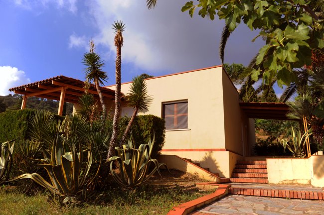 Casa moderna con piante esotiche attorno e cielo sereno.