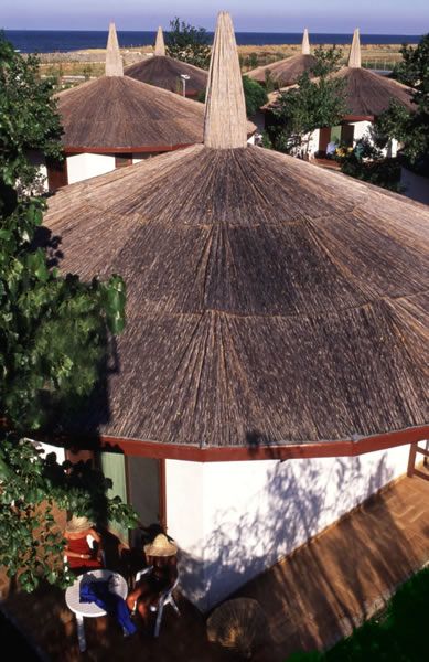 Costruzione con tetto di paglia, patio e vegetazione attorno.